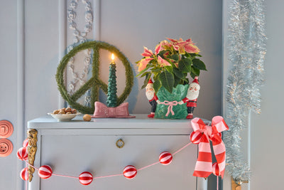 AW25 - rice_AW25-126