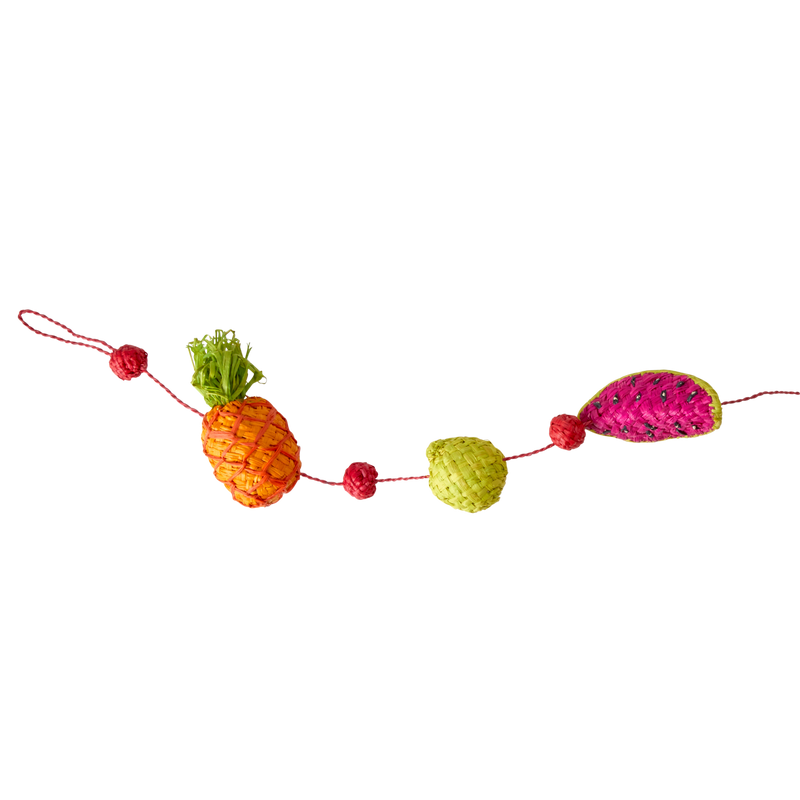Raphia Guirlande - Multicolore - Fruits Theme