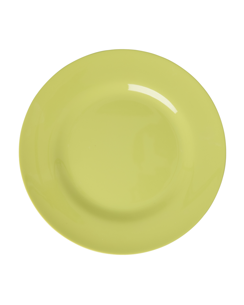 Dinner Plate - Multicolor - Gloriously Gifted - 6-pack