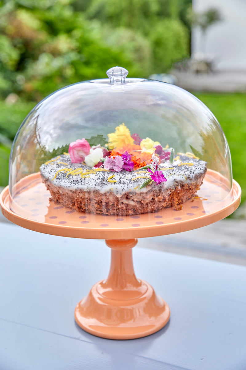 Cake Stand - Apricot Environment