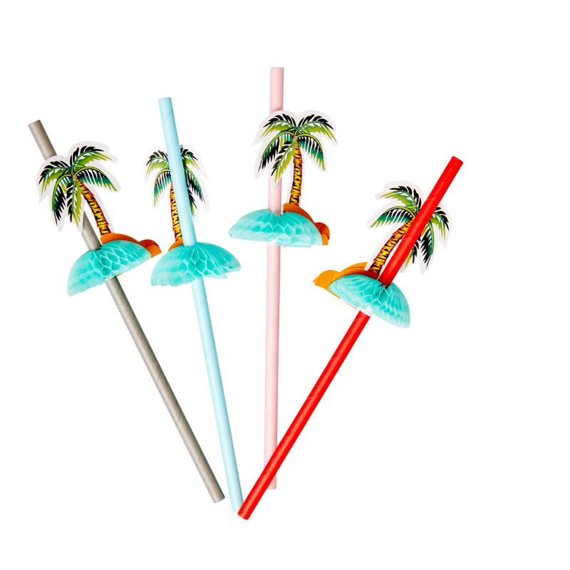 STRAW-PALM_3.png